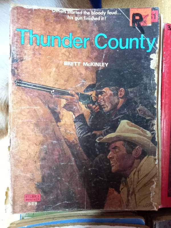 Books-Westerns from a long time ago