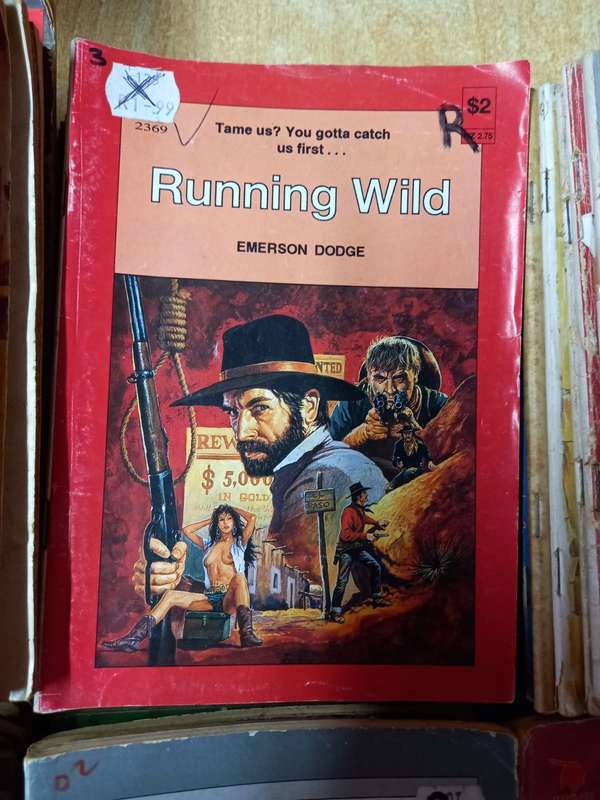 Books-Westerns from a long time ago