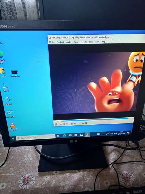 LG Flatron L1919S