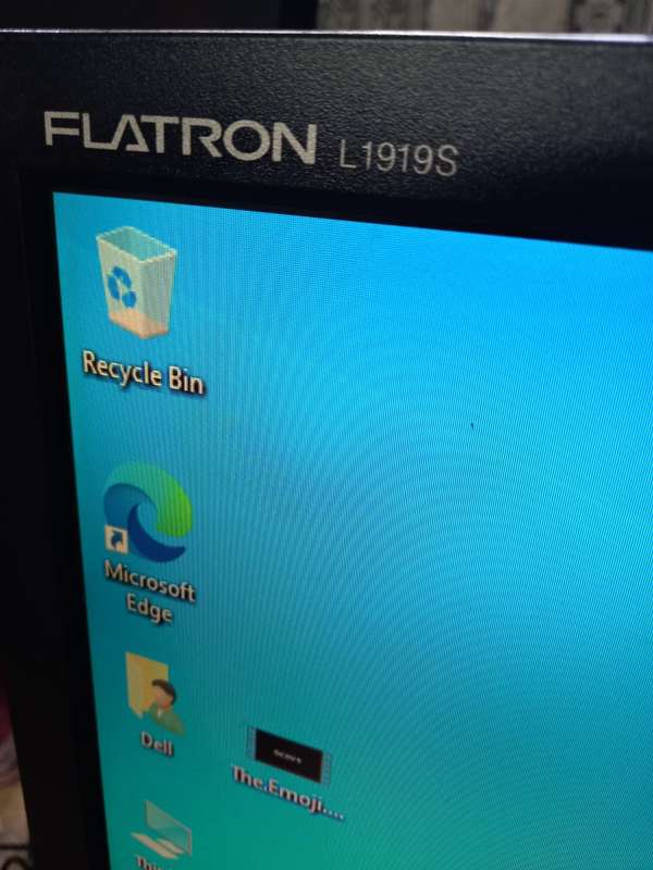 LG Flatron L1919S