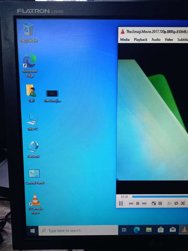 LG Flatron L1919S