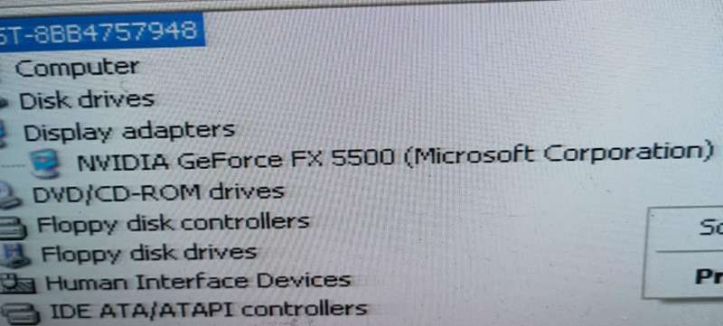 FX5500 256mb Nvidia graphics card