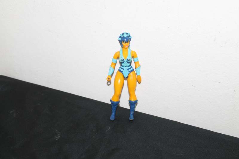 Masters of the Universe Evil Lyn