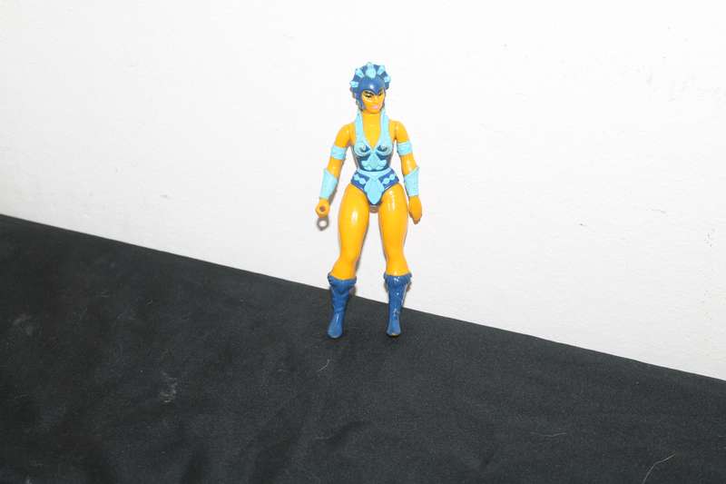Masters of the Universe Evil Lyn