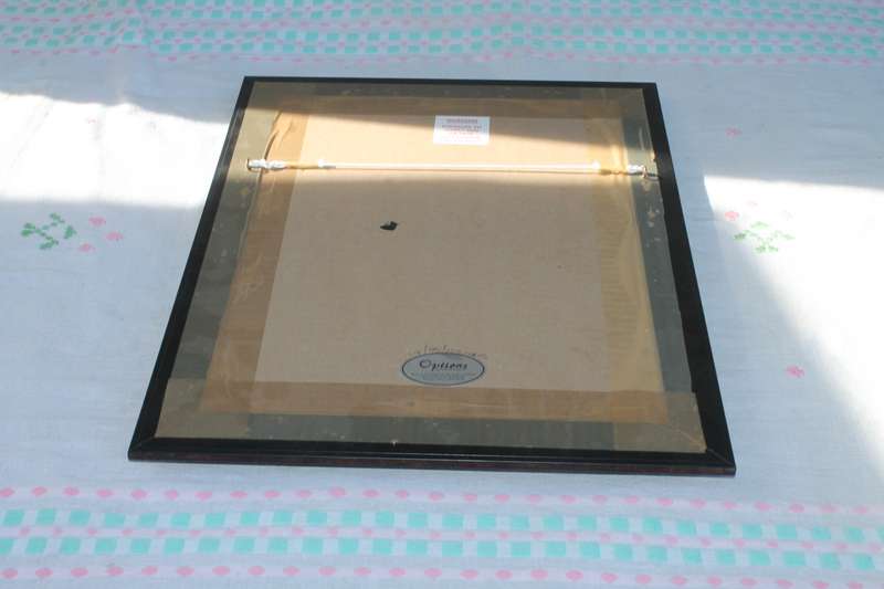 Framed Oil of a Lady