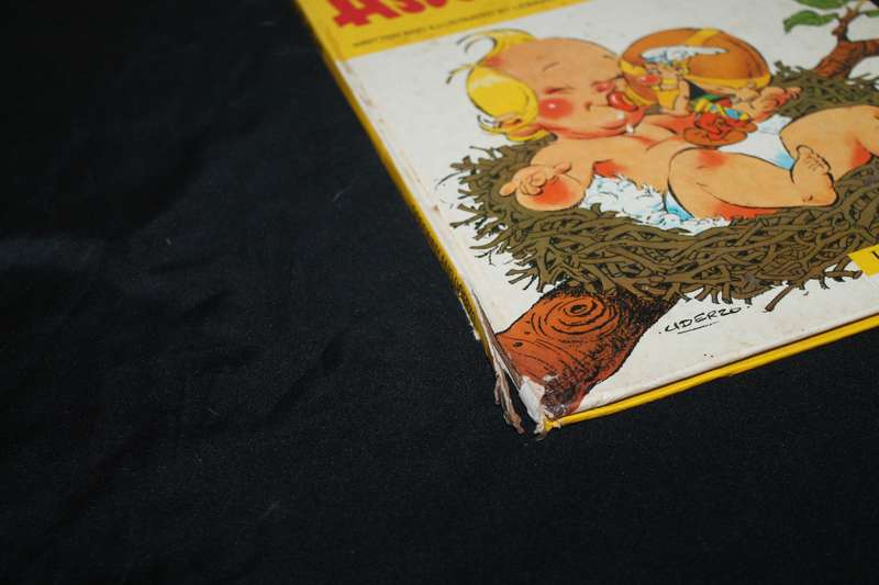 hardcover Asterix and Son