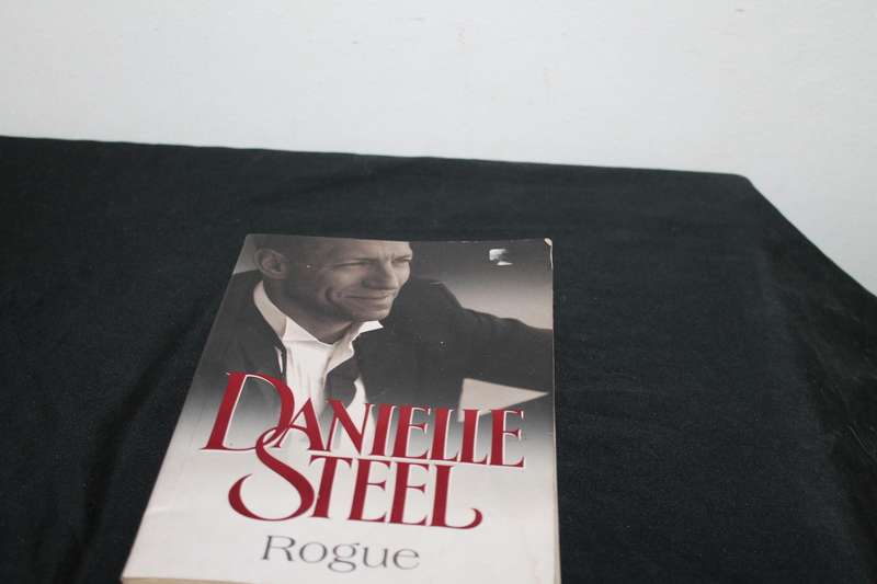 Danielle Steel Rogue