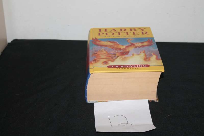 harry Potter and the order of the Phoenix