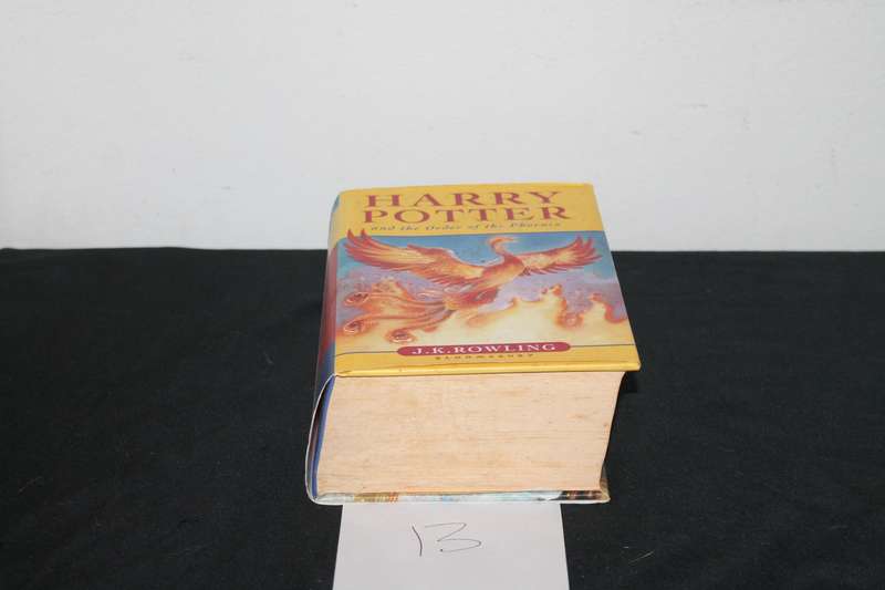 harry Potter and the order of the Phoenix
