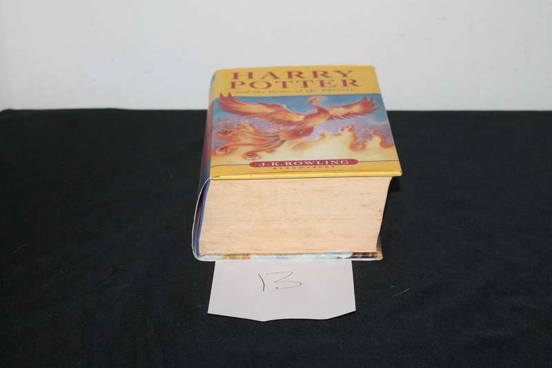 harry Potter and the order of the Phoenix