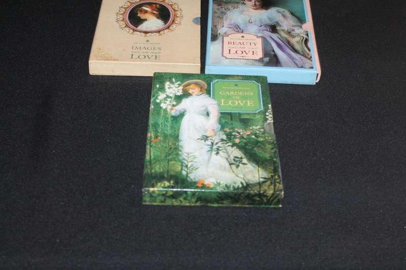 Victoria's Secret 3 books