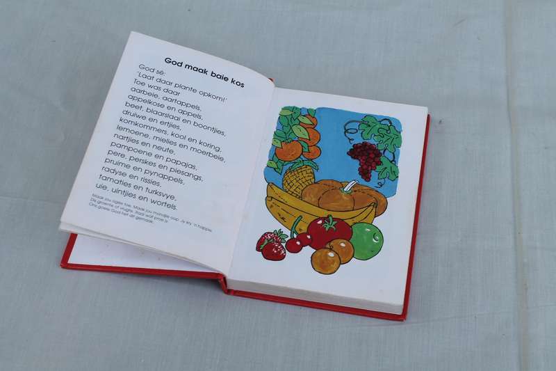 Kinder Bybel Maretha Maartens