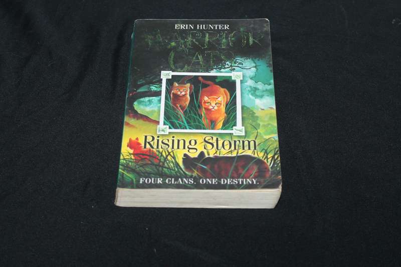 Erin Hunter Warrior Rising Storm