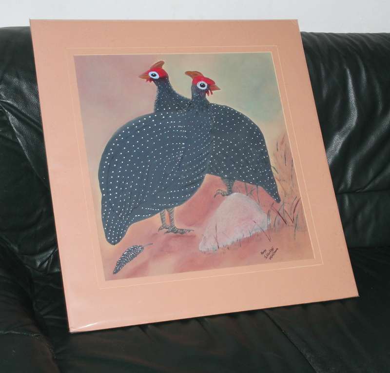 Large Picture of Guiney Fowls