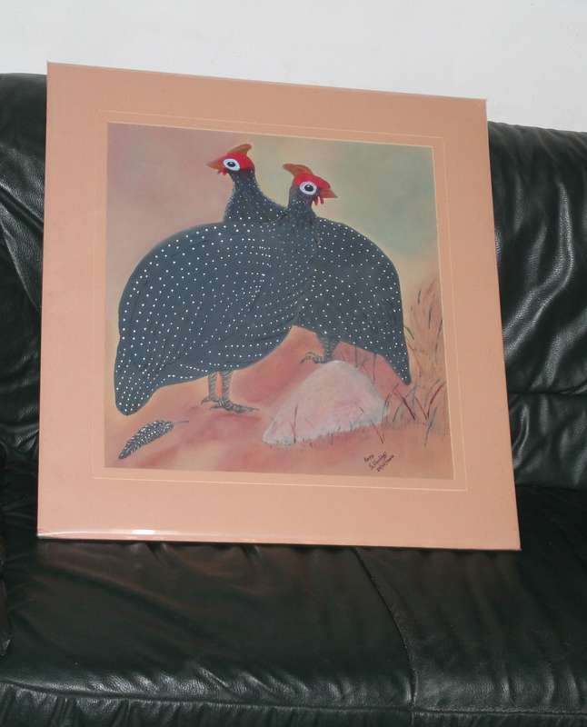 Large Picture of Guiney Fowls