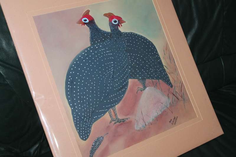 Large Picture of Guiney Fowls