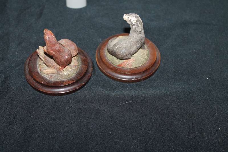 Country Artist by Richard Cooper & Company Stratford-Upon-Avon England 2 Otters