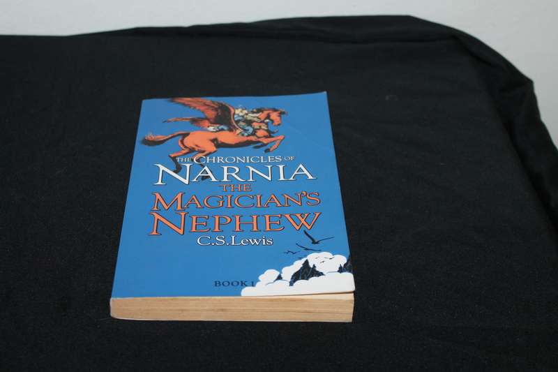 C S Lewis the Chronicles of Narnia