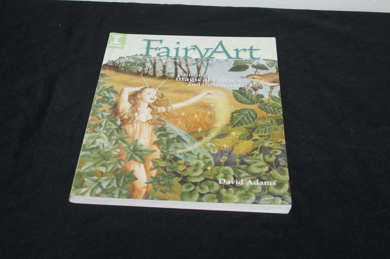 Fairy Art  David Adams