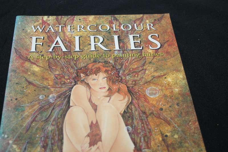 Watercolour Faries David Riche and Anna Franklin