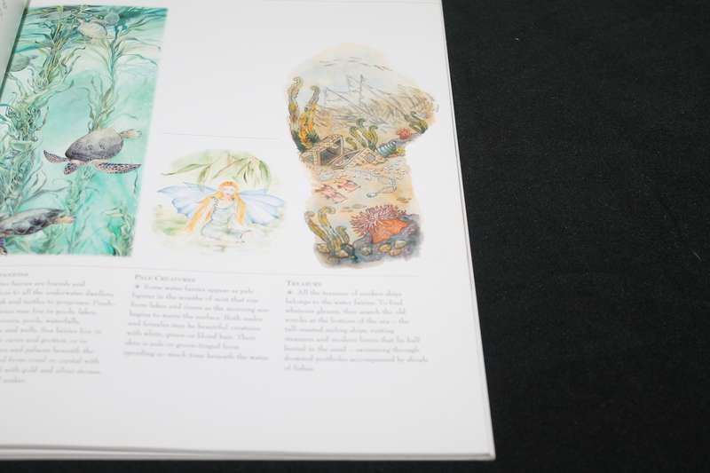 Watercolour Faries David Riche and Anna Franklin