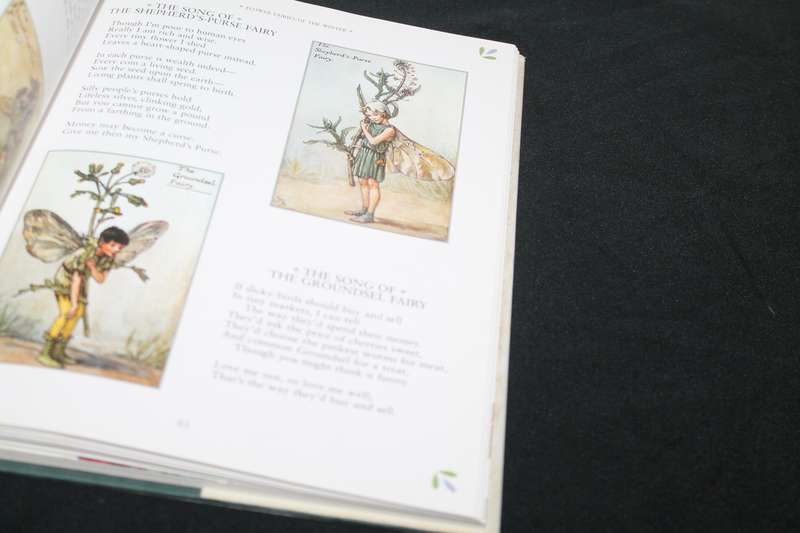 Cicely Mary Barker The Complete book of the Flower Faries