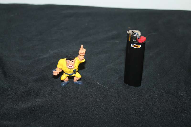 Monster in my pocket Wrestling