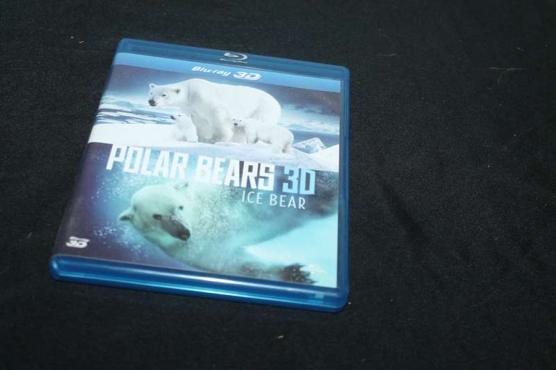 Polar Bears 3D