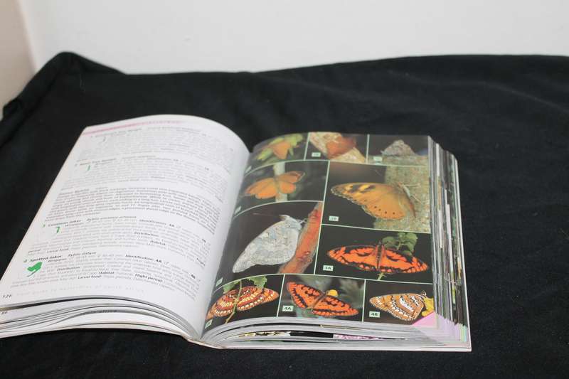 Field guide to Butterflies Steve Woodhall