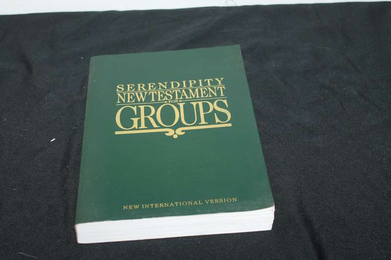 Serendipity New Testament for Groups