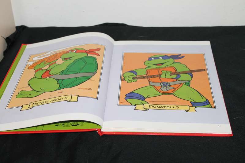 TMNT Annual