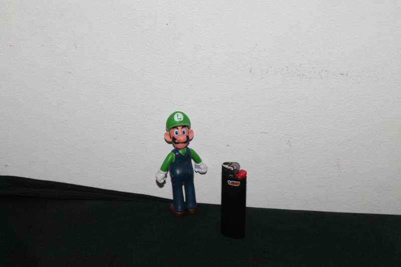 Super Mario Luigi