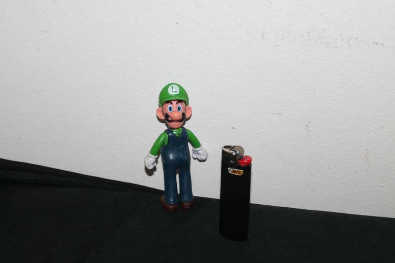 Super Mario Luigi