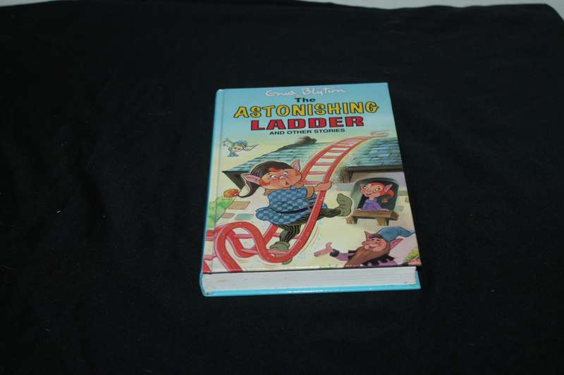 Enid Blyton The Astonishing Ladder