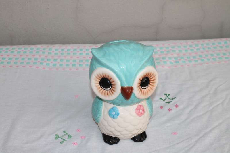 Large Owl money Box
