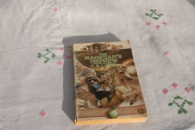 C S Lewis The Magician's Nephew