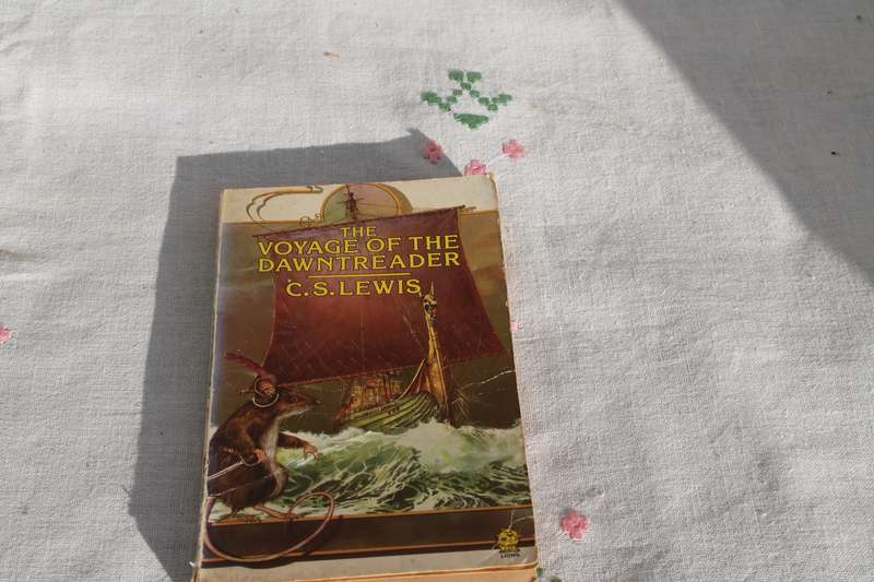 C S Lewis The Voyage of the dawn trader