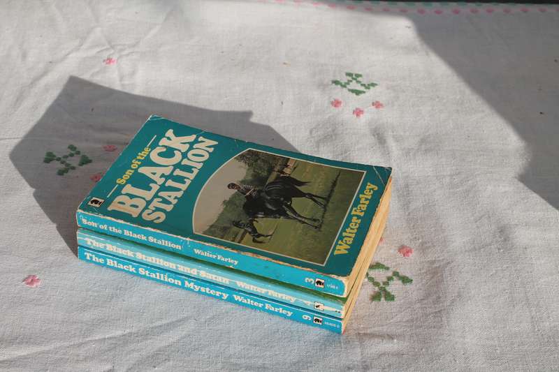 3 Walter Farley Black Stallion books