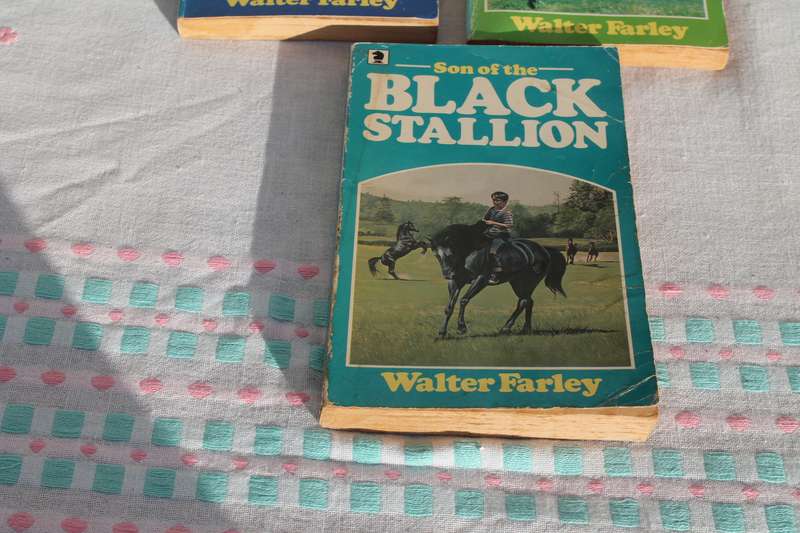 3 Walter Farley Black Stallion books