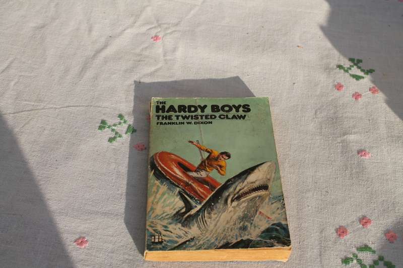 Franklin W Dixon Hardy Boys The twisted claw