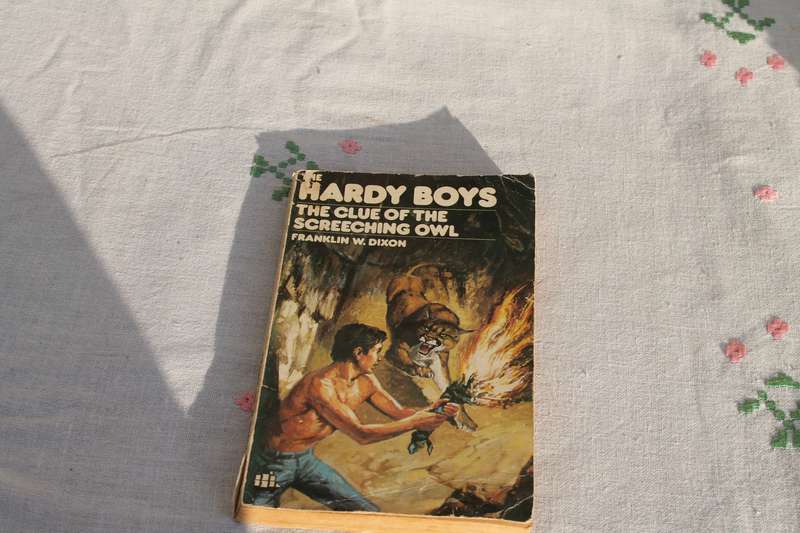 Franklin W Dixon Hardy Boys The clue of the screeching owl