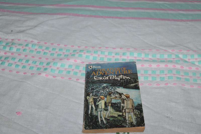 Enid Blyton The River adventure