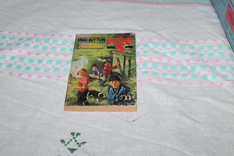 Enid Blyton Five on a hike together