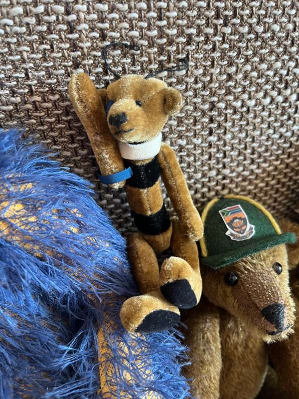 Teddy Bear Family looking for a new home