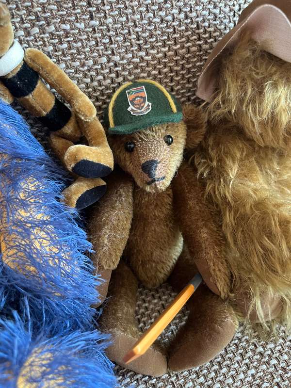 Teddy Bear Family looking for a new home