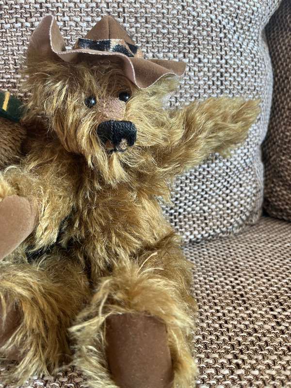 Teddy Bear Family looking for a new home