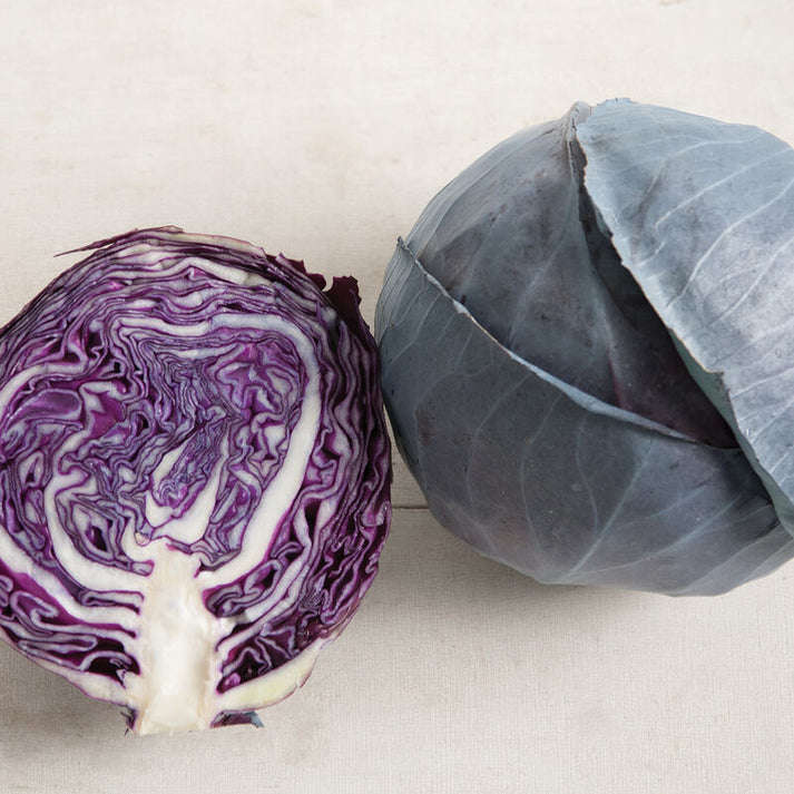 Cabbage Baby Red Omero -10 cabbage seeds