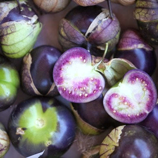 Tomatillo seeds Purple Coban - 50 tomatillo seeds