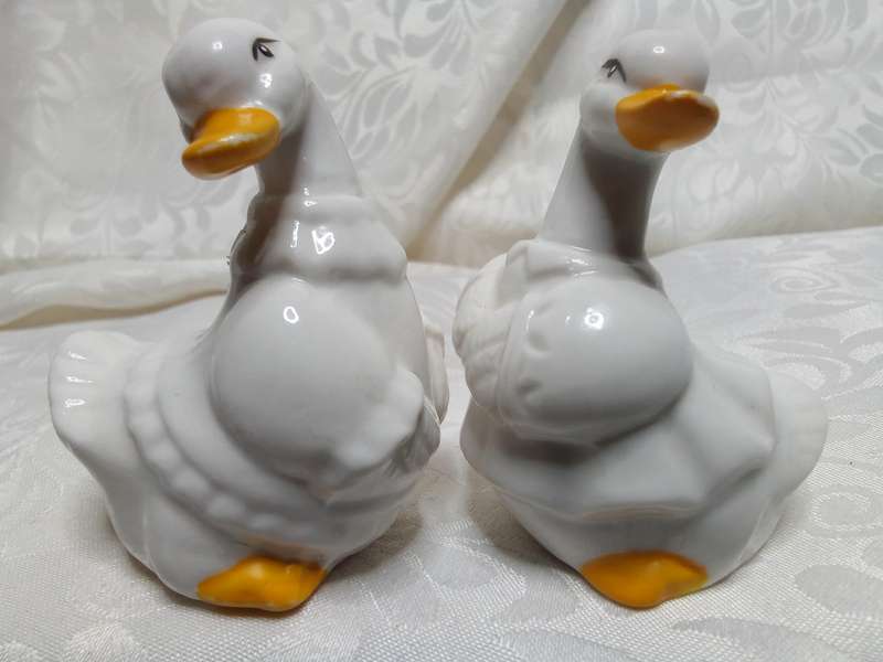 Pretty vintage duck Salt and Pepper set