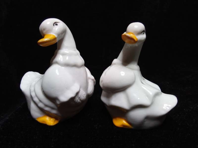 Pretty vintage duck Salt and Pepper set